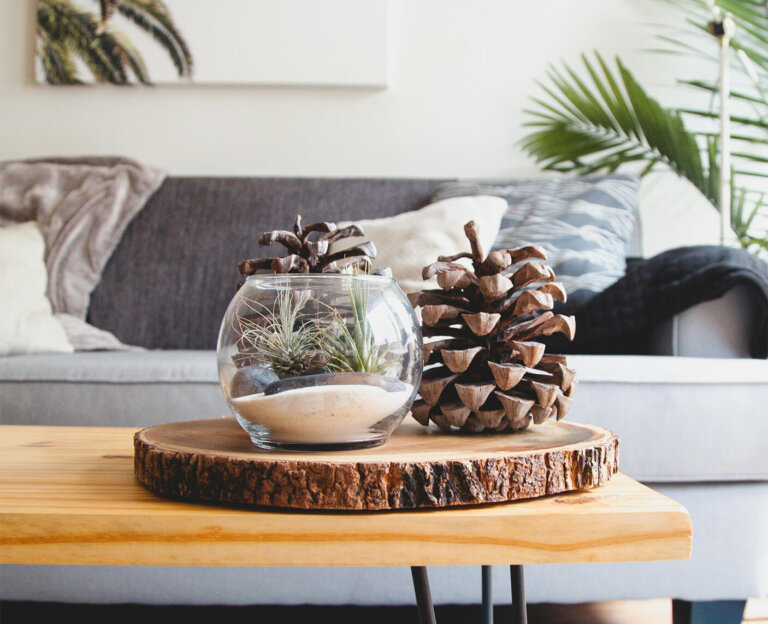 Cara Membuat Salon Anda Dekat dengan Alam